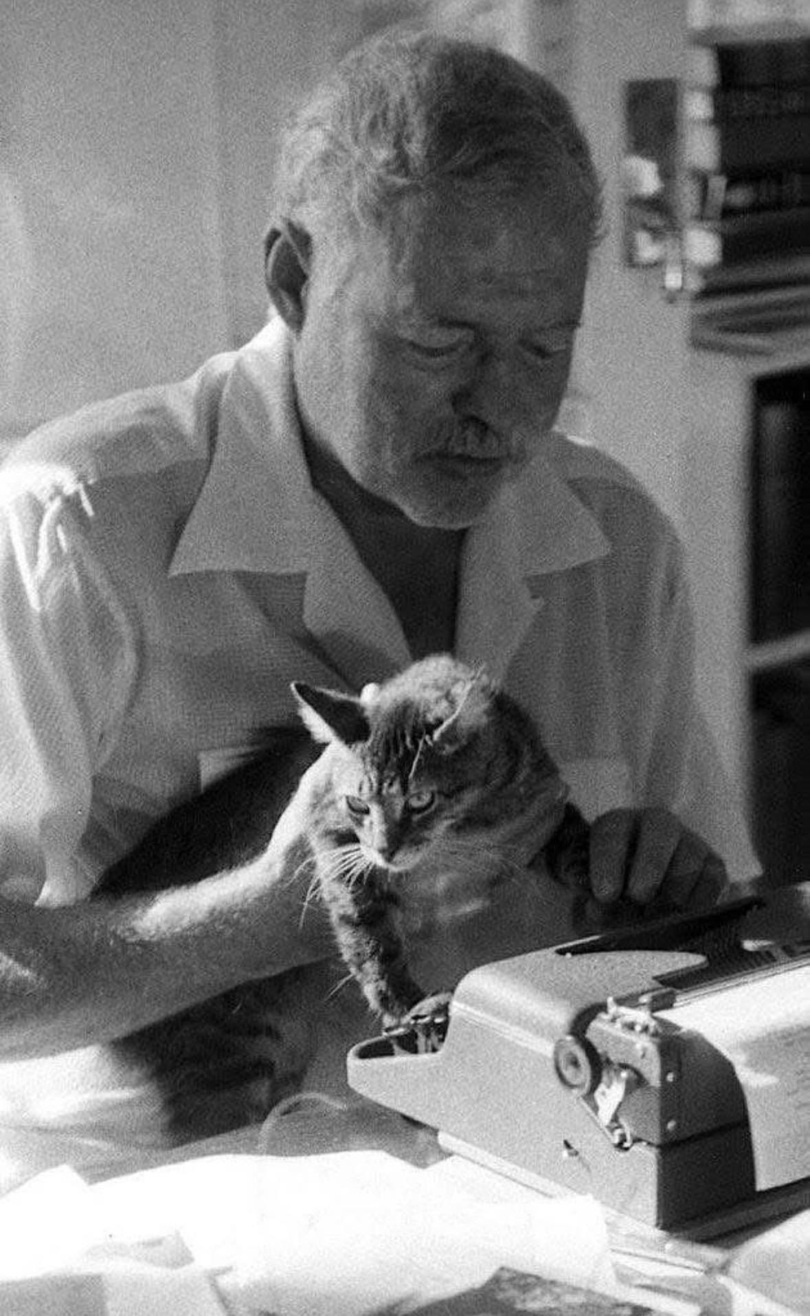 Ernest Hemingway și sinceritatea felină Ernest Hemingway și sinceritatea felină